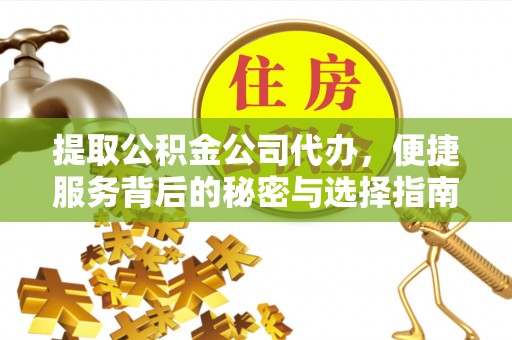 志丹提取公积金公司代办，便捷服务背后的秘密与选择指南
