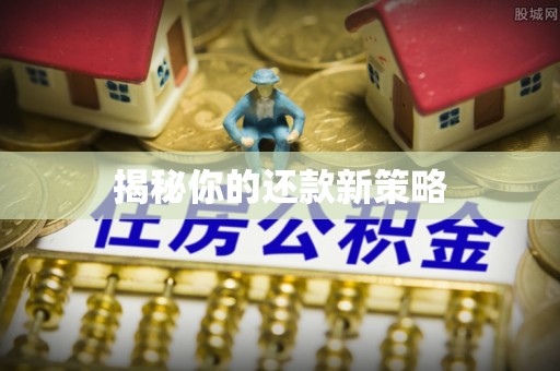 志丹揭秘你的还款新策略