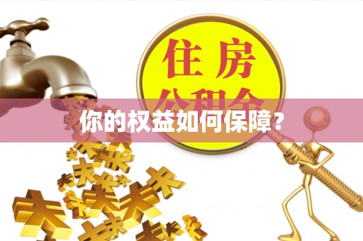 志丹你的权益如何保障？