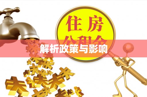 志丹解析政策与影响