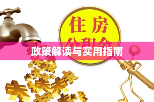 志丹政策解读与实用指南