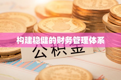 志丹构建稳健的财务管理体系