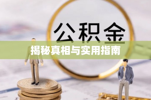 志丹揭秘真相与实用指南