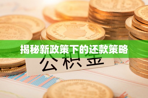 志丹揭秘新政策下的还款策略