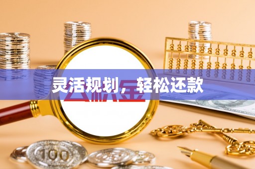 志丹灵活规划，轻松还款