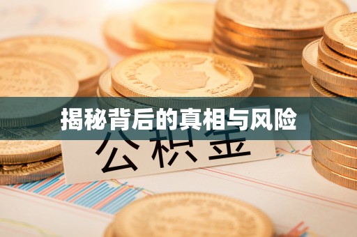 志丹揭秘背后的真相与风险