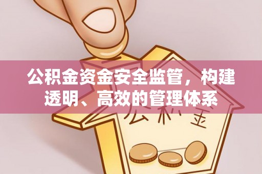志丹公积金资金安全监管，构建透明、高效的管理体系