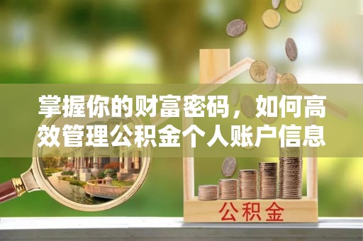 志丹掌握你的财富密码，如何高效管理公积金个人账户信息