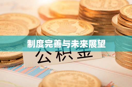 志丹制度完善与未来展望
