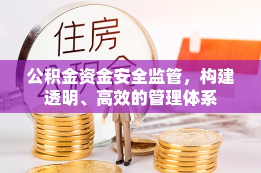 志丹公积金资金安全监管，构建透明、高效的管理体系