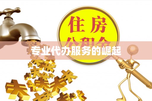 志丹专业代办服务的崛起