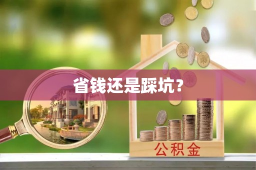 志丹省钱还是踩坑？
