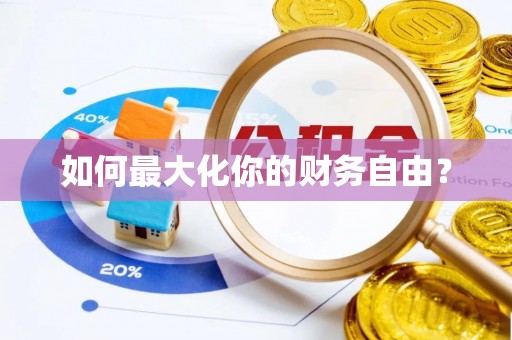 志丹如何最大化你的财务自由？