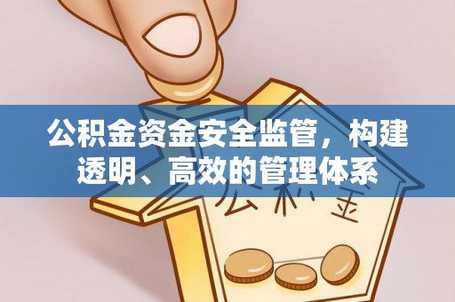 志丹公积金资金安全监管，构建透明、高效的管理体系