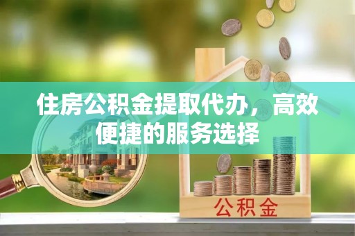 志丹住房公积金提取代办，高效便捷的服务选择