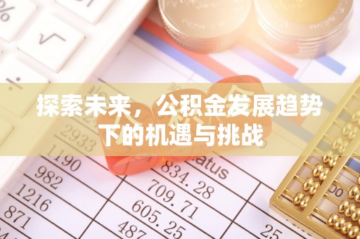 志丹探索未来，公积金发展趋势下的机遇与挑战