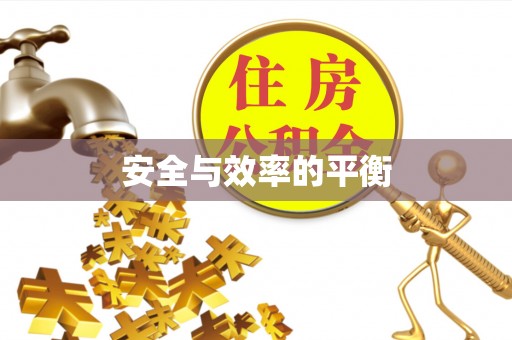 志丹安全与效率的平衡