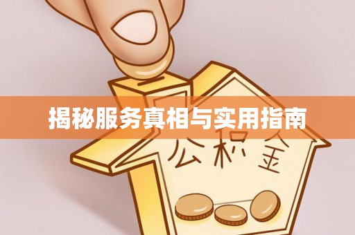 志丹揭秘服务真相与实用指南