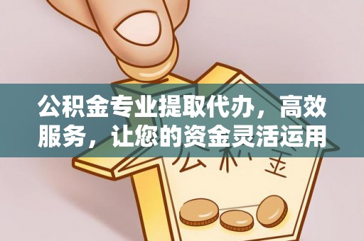 志丹公积金专业提取代办，高效服务，让您的资金灵活运用