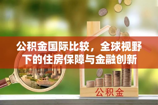 志丹公积金国际比较，全球视野下的住房保障与金融创新