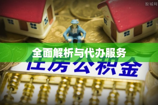 志丹全面解析与代办服务