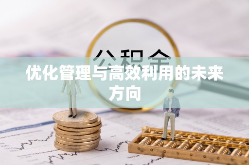 志丹优化管理与高效利用的未来方向