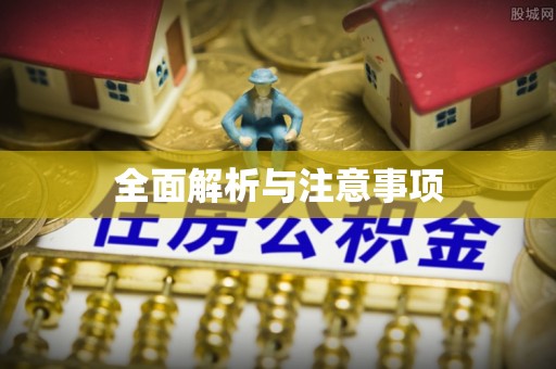 志丹全面解析与注意事项