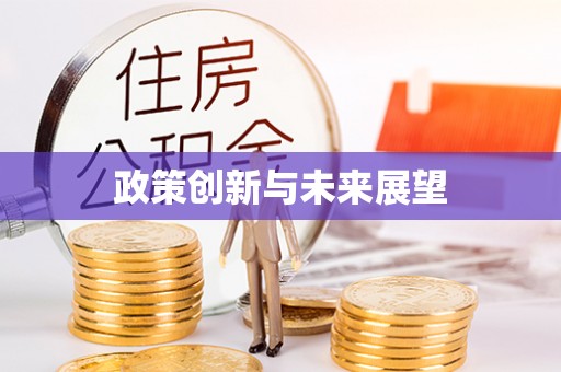 志丹政策创新与未来展望