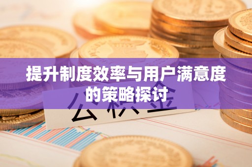 志丹提升制度效率与用户满意度的策略探讨