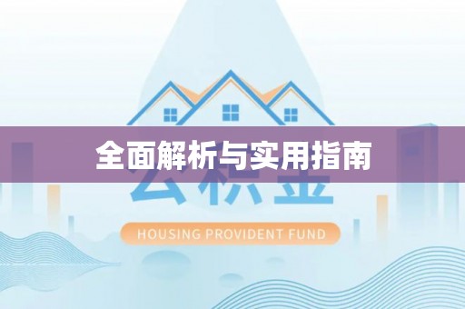 志丹全面解析与实用指南