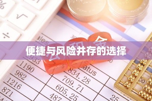 志丹便捷与风险并存的选择